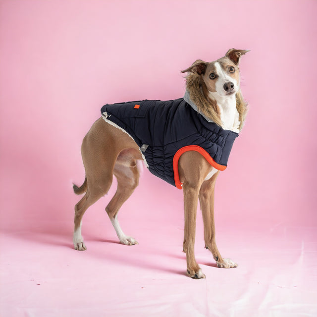 Winter Sailor Parka Dog Coat/Jacket - Navy - Hoochie Poochie