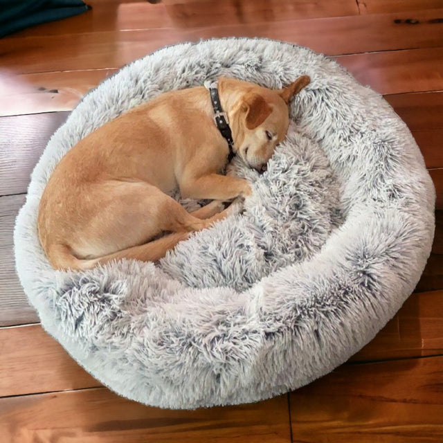 Mr. Peanut's OrthoPlush Pet Bed - Hoochie Poochie