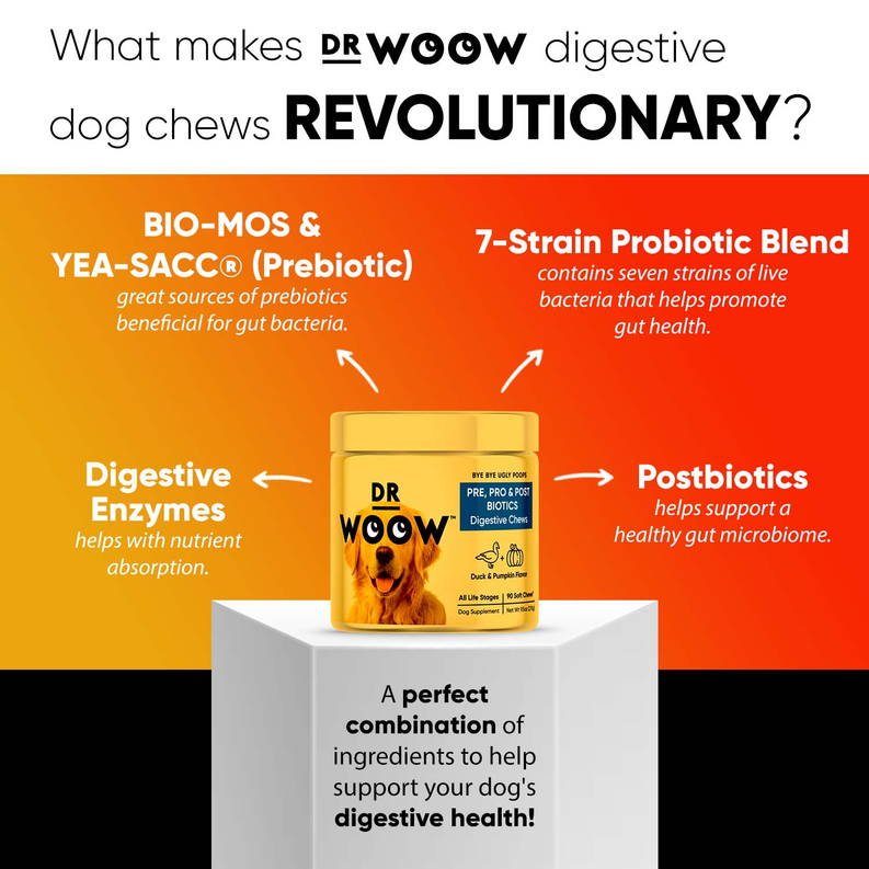 Dog Probiotic & Prebiotic Blend - Dr Woow Soft Chews - Hoochie Poochie