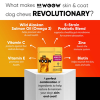 Skin and Coat Supplement For Dogs - Dr Woow Soft Chews - Hoochie Poochie