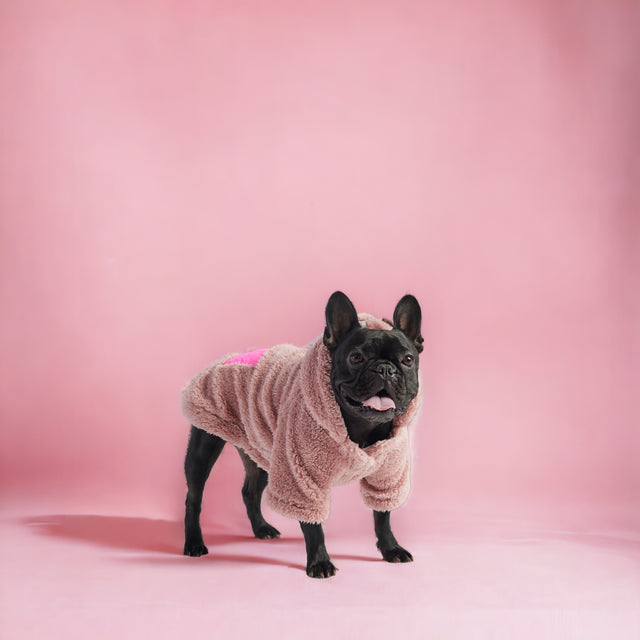 Cozy Hoodie Dog Sweater - Pink - Hoochie Poochie