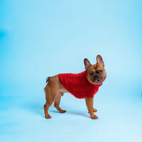 Chalet Dog Sweater - Red - Hoochie Poochie