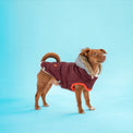 Winter Sailor Parka Dog Coat/Jacket - Burgundy - Hoochie Poochie