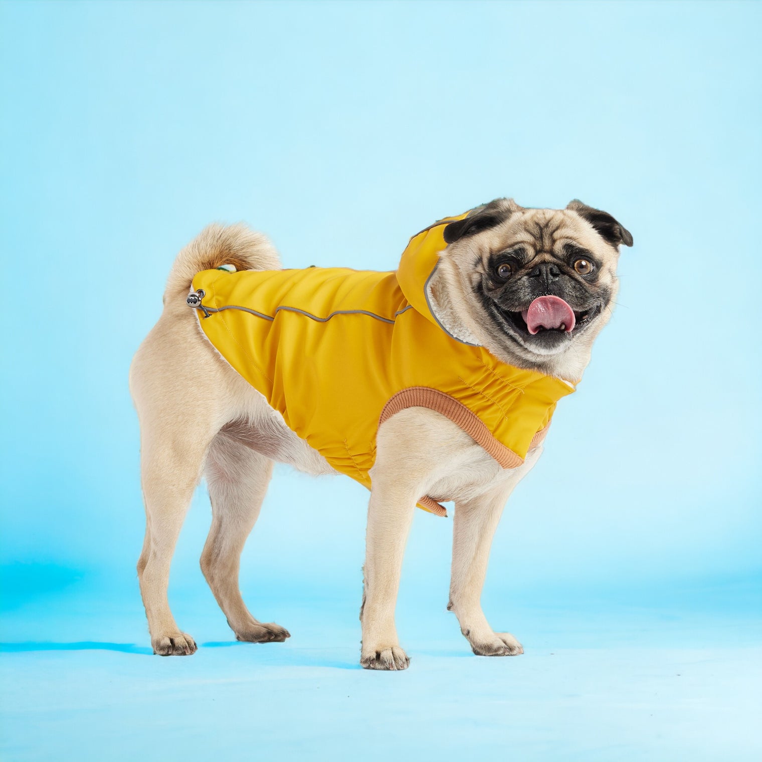 Insulated Dog Raincoat - Yellow - Hoochie Poochie