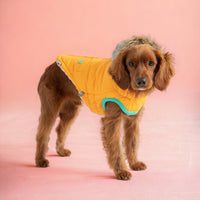 Winter Sailor Parka Dog Coat/Jacket - Yellow - Hoochie Poochie