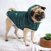 Super Puff Parka Dog Coat/Jacket - Teal - Hoochie Poochie