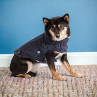 Denim Dog Coat/Jacket - Navy - Hoochie Poochie