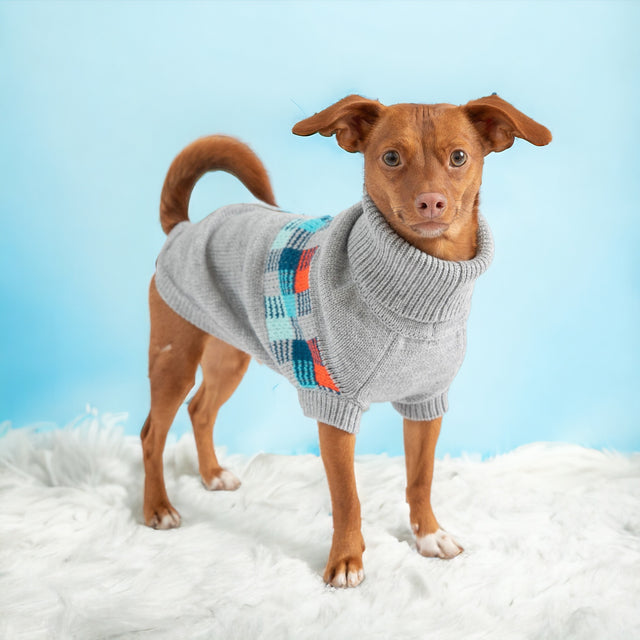 Winter Sailor Sweater - Grey Mix - Hoochie Poochie