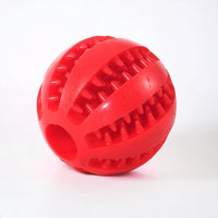 Watermelon Ball Dog Toy - Hoochie Poochie