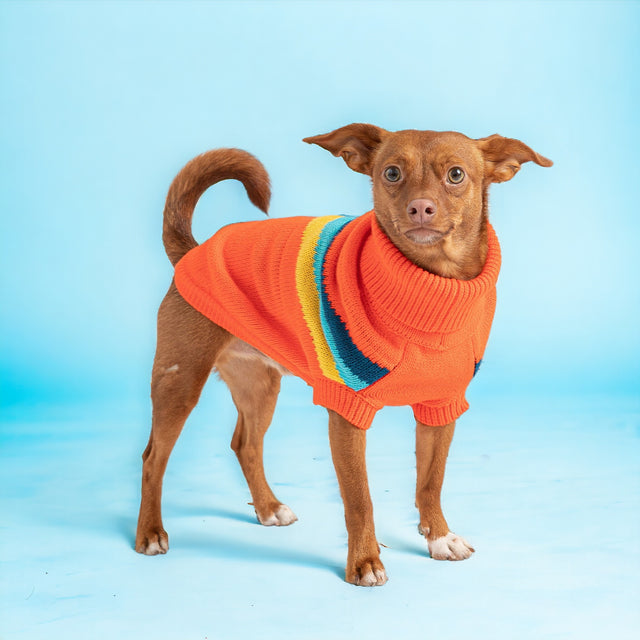 Alpine Dog Sweater - Orange - Hoochie Poochie