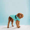 Alpine Puffer Dog Coat/Jacket - Light Aqua - Hoochie Poochie