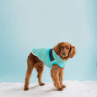 Alpine Puffer Dog Coat/Jacket - Light Aqua - Hoochie Poochie