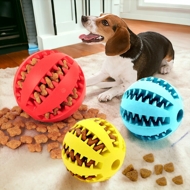 Watermelon Ball Dog Toy - Hoochie Poochie