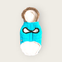 Winter Sailor Parka Dog Coat/Jacket - Aqua - Hoochie Poochie