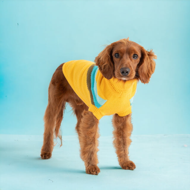 Alpine Dog Sweater - Yellow - Hoochie Poochie