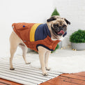 Retro Puffer Dog Coat/Jacket - Hazel - Hoochie Poochie