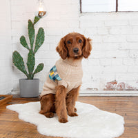 Winter Sailor Sweater - Oatmeal Mix - Hoochie Poochie