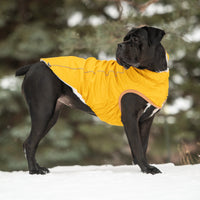 Insulated Dog Raincoat - Yellow - Hoochie Poochie