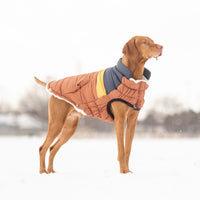 Retro Puffer Dog Coat/Jacket - Hazel - Hoochie Poochie