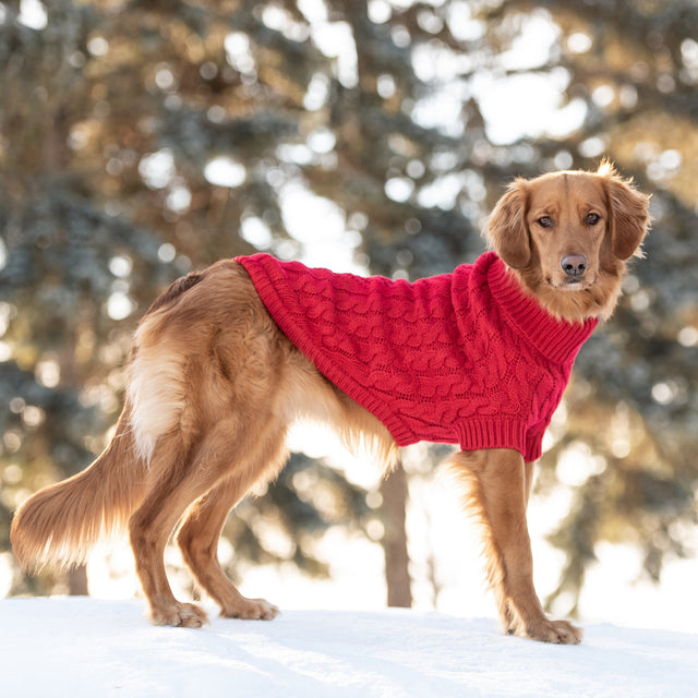 Chalet Dog Sweater - Red - Hoochie Poochie