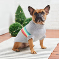 Retro Dog Sweater - Grey Mix - Hoochie Poochie