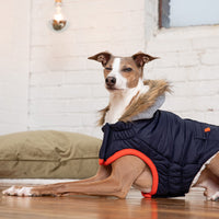 Winter Sailor Parka Dog Coat/Jacket - Navy - Hoochie Poochie