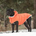 Super Puff Parka Dog Coat/Jacket - Orange - Hoochie Poochie