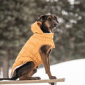 Super Puff Parka Dog Coat/Jacket - Yellow - Hoochie Poochie