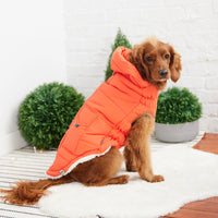 Super Puff Parka Dog Coat/Jacket - Orange - Hoochie Poochie