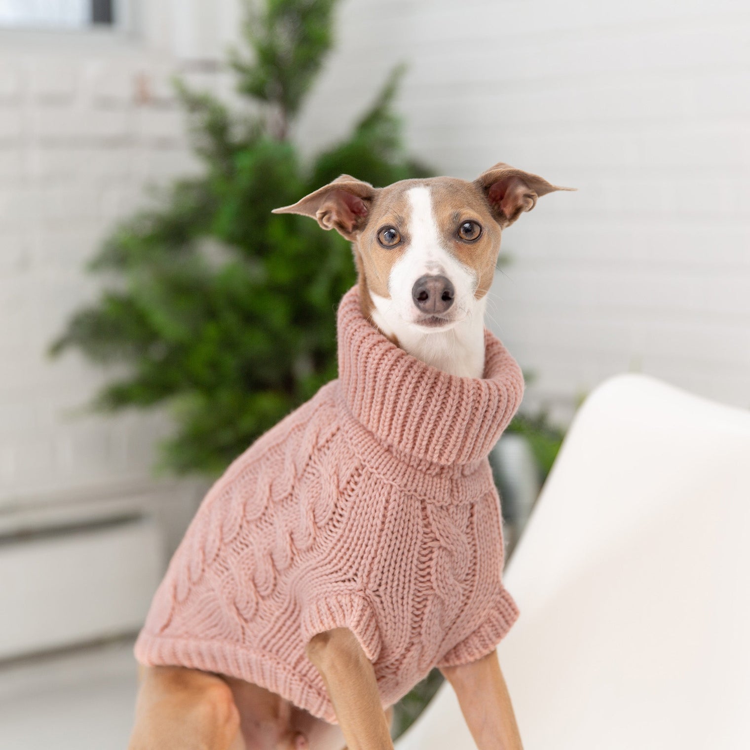 Snuggly Chalet Dog Sweater - Pink - Hoochie Poochie