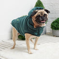 Super Puff Parka Dog Coat/Jacket - Teal - Hoochie Poochie