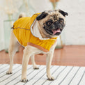 Insulated Dog Raincoat - Yellow - Hoochie Poochie