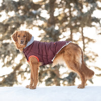 Winter Sailor Parka Dog Coat/Jacket - Burgundy - Hoochie Poochie