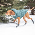 Super Puff Parka Dog Coat/Jacket - Teal - Hoochie Poochie